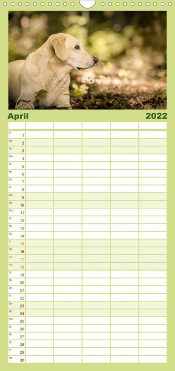 Produktbild: Familienplaner Labrador Trio - 3 Farben, 3 Freunde (Wandkalender 2022 , 21 cm x 45 cm, hoch)