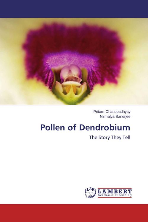 Produktbild: Pollen of Dendrobium