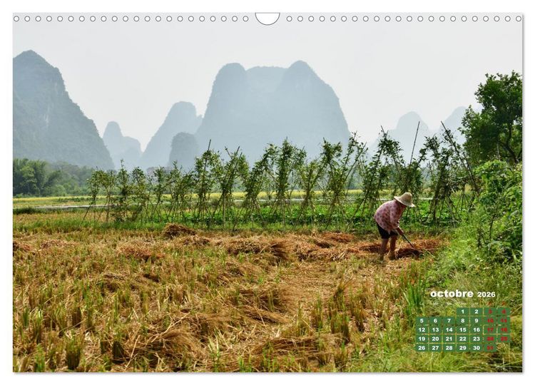 Produktbild: Riz de Chine (Calendrier mural 2026 DIN A3 vertical), CALVENDO calendrier mensuel
