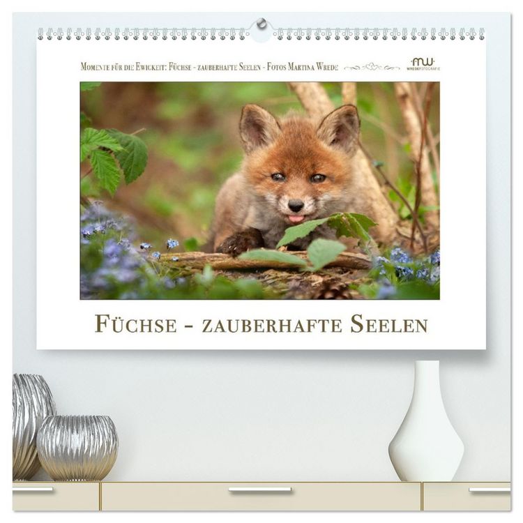 Produktbild: F&uuml;chse - zauberhafte Seelen (hochwertiger Premium Wandkalender 2026 DIN A2 quer), Kunstdruck in Hochglanz