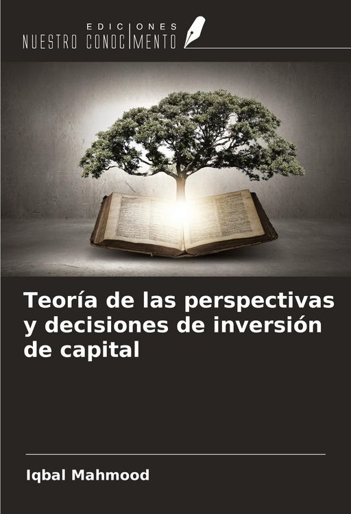 Produktbild: Teor&iacute;a de las perspectivas y decisiones de inversi&oacute;n de capital