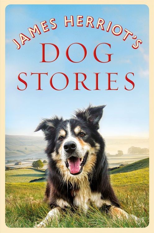 Produktbild: James Herriot's Dog Stories