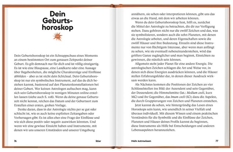Produktbild: Stier