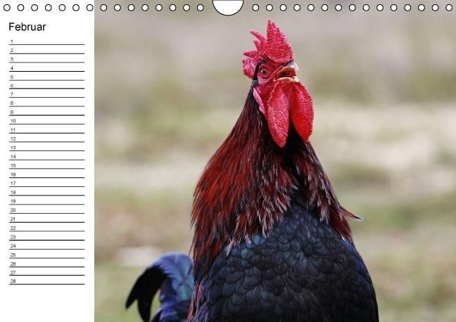 Produktbild: H&uuml;hner / Geburtstagskalender (Wandkalender immerw&auml;hrend DIN A4 quer)