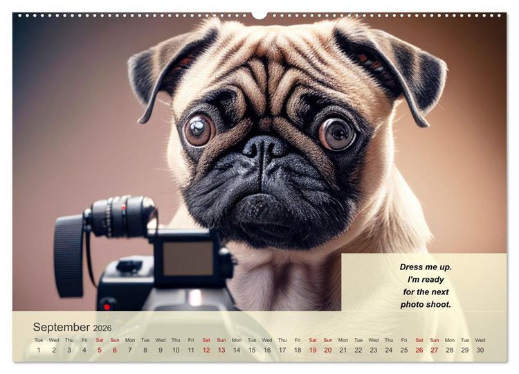 Produktbild: Great fun for pug lovers (High Quality Premium Wall Calendar 2026 DIN A2 landscape),CALVENDO 12 Month Wall Calendar