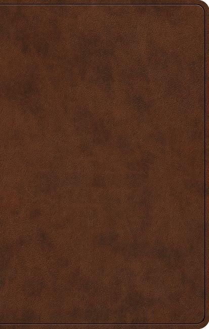 Produktbild: ESV Premium Gift Bible, Red Letter (Trutone, Brown)