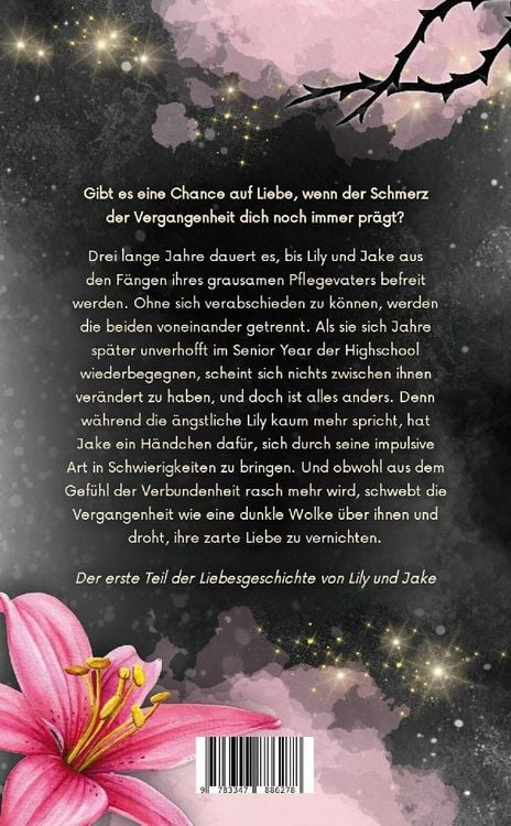 Produktbild: Sprachlos - Lily und Jake