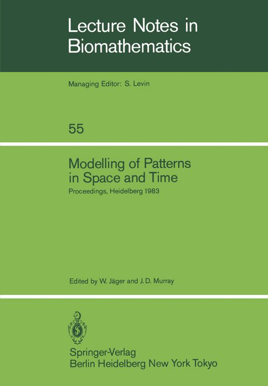 Produktbild: Modelling of Patterns in Space and Time