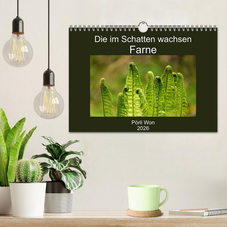 Produktbild: Die im Schatten wachsen - Farne (Wandkalender 2026 DIN A4 quer), CALVENDO Monatskalender