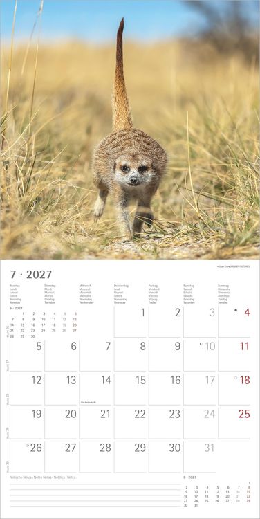 Produktbild: Erdm&auml;nnchen 2027