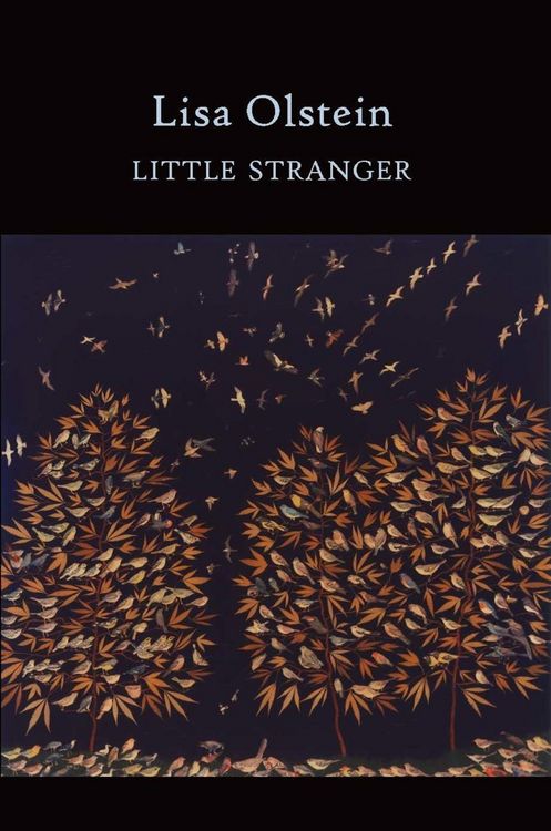 Produktbild: Little Stranger