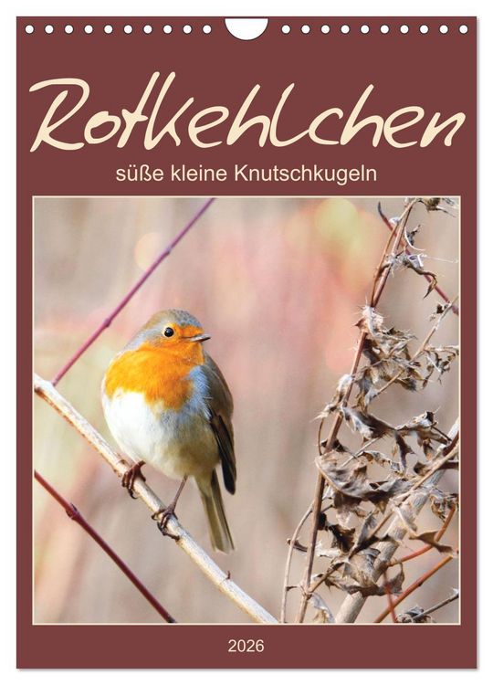Produktbild: Rotkehlchen, s&uuml;&szlig;e kleine Knutschkugeln (Wandkalender 2026 DIN A4 hoch), CALVENDO Monatskalender
