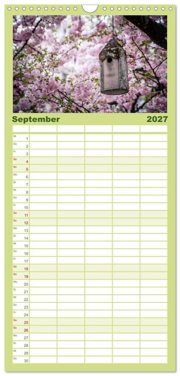 Produktbild: Familienplaner 2027 - Fr&uuml;hlingsbl&uuml;her - Farbenpracht nach dem Winter mit 5 Spalten (Wandkalender, 21 x 45 cm) CALVENDO