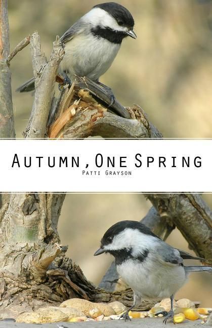 Produktbild: Autumn, One Spring