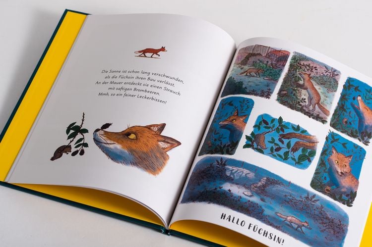 Produktbild: Wunder der Natur. Das Gute-Nacht-Buch