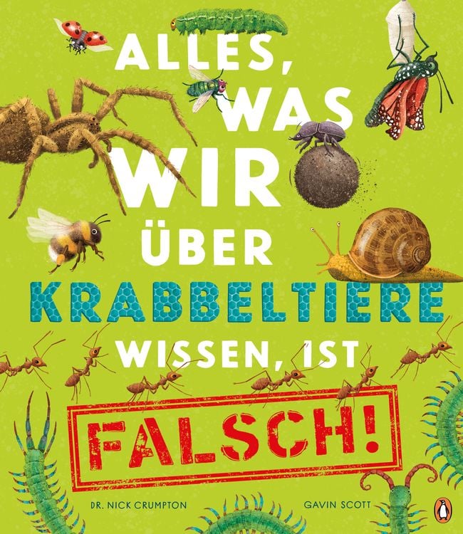 Produktbild: Alles, was wir über Krabbeltiere wissen, ist falsch!
