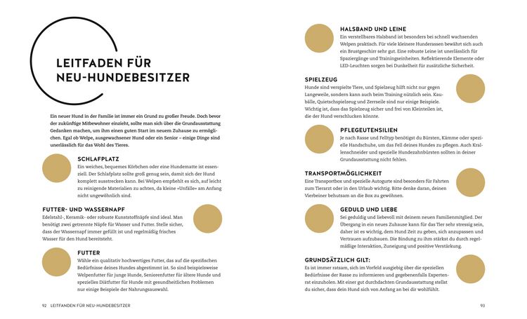 Produktbild: Finde den Hund, der zu dir passt