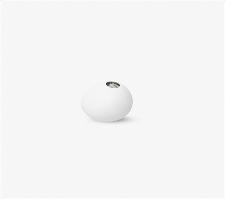 Produktbild: Charles Ray