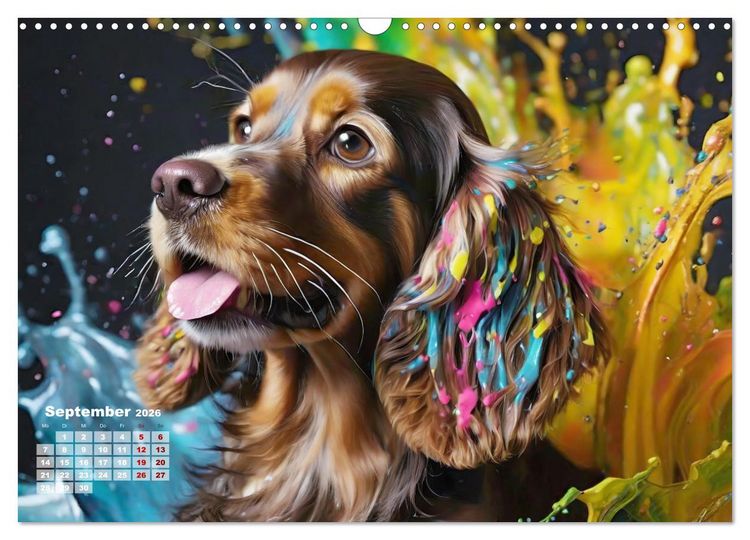 Produktbild: Splash - Hunde im Farbrausch (Wandkalender 2026 DIN A3 quer), CALVENDO Monatskalender