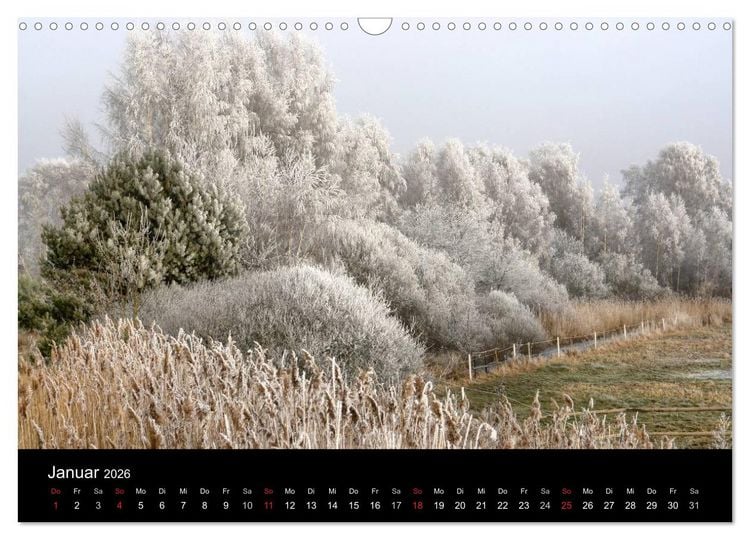 Produktbild: Baum-Variationen (Wandkalender 2026 DIN A3 quer), CALVENDO Monatskalender