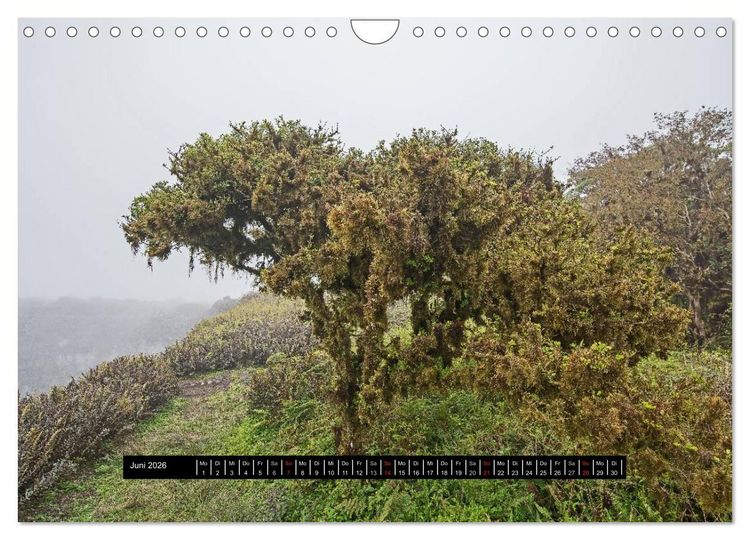 Produktbild: Galapagos- Landschaften (Wandkalender 2026 DIN A4 quer), CALVENDO Monatskalender