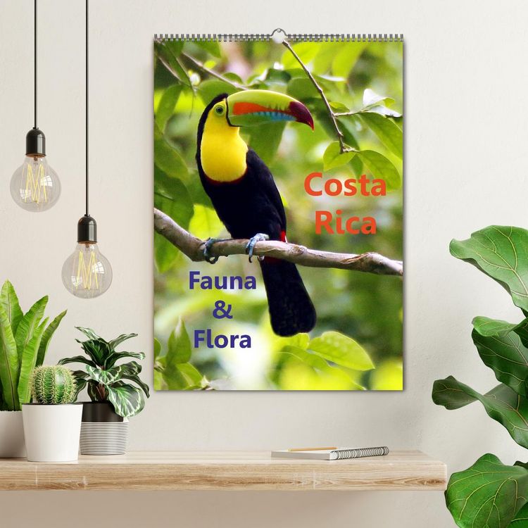 Produktbild: Costa Rica - Fauna & Flora (Wandkalender 2026 DIN A2 hoch), CALVENDO Monatskalender