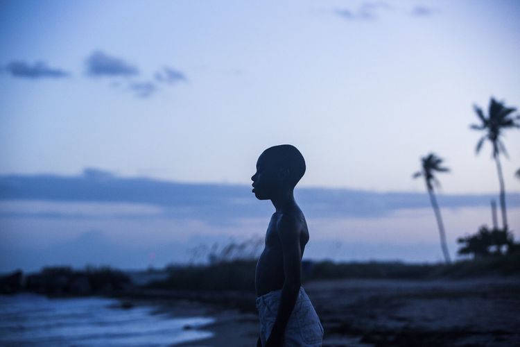 Produktbild: Moonlight