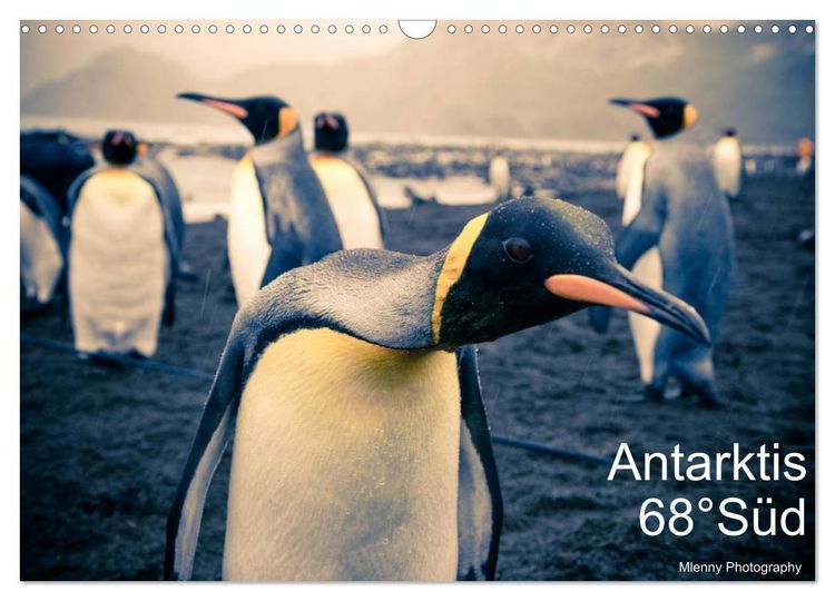 Produktbild: Antarktis 68&deg; S&uuml;d (Wandkalender 2026 DIN A3 quer), CALVENDO Monatskalender