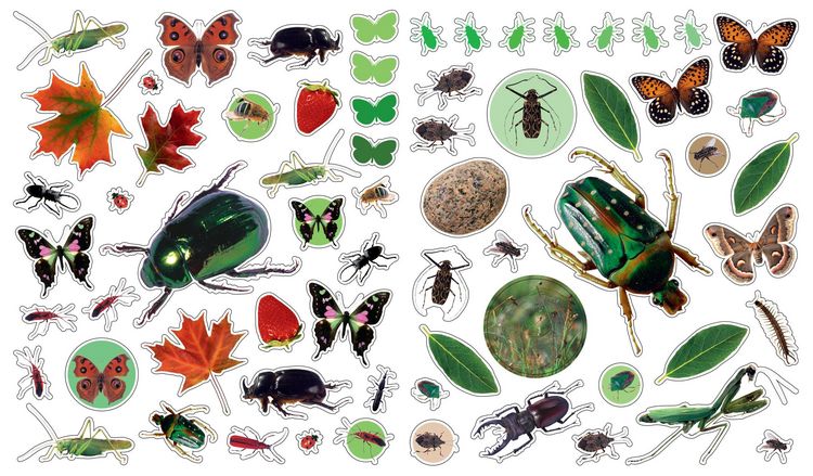 Produktbild: Eyelike Stickers: Bugs