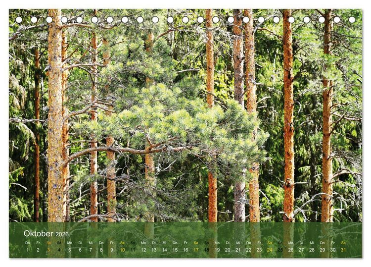 Produktbild: Traumhaftes V&auml;rmland (Tischkalender 2026 DIN A5 quer), CALVENDO Monatskalender