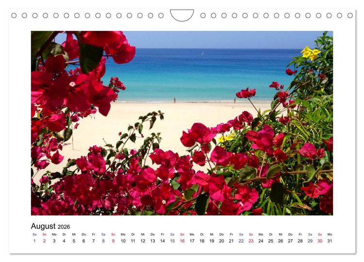 Produktbild: Fuerteventura - Perle im Atlantik (Wandkalender 2026 DIN A4 quer), CALVENDO Monatskalender