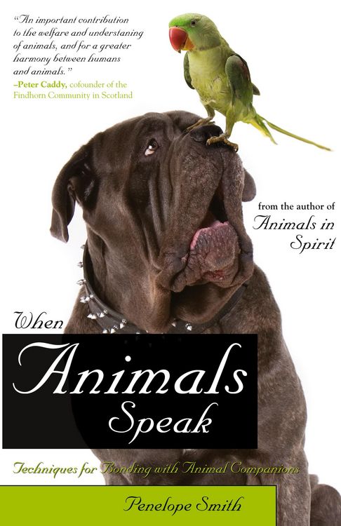 Produktbild: When Animals Speak