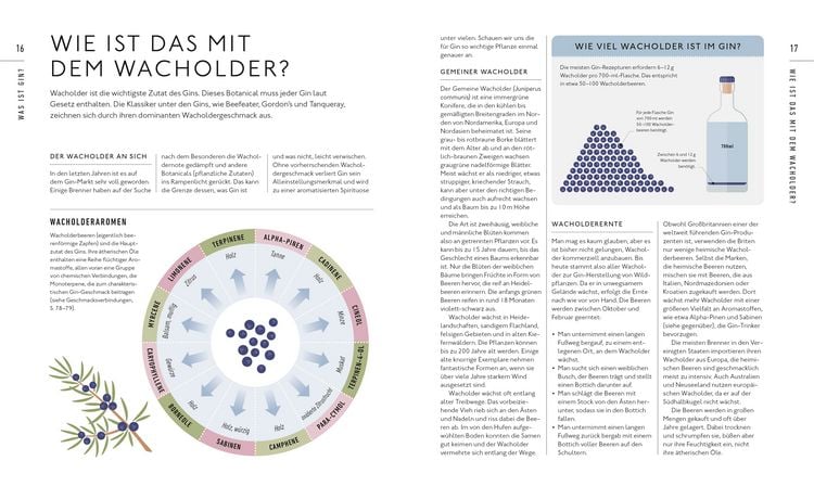 Produktbild: Workshop Gin
