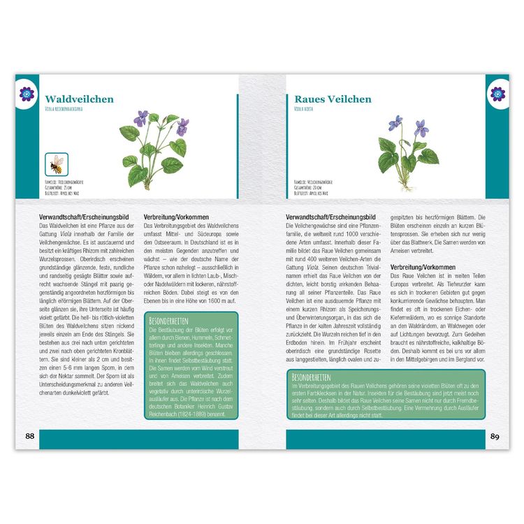 Produktbild: Wildblumen und Kr&auml;uter entdecken und bestimmen