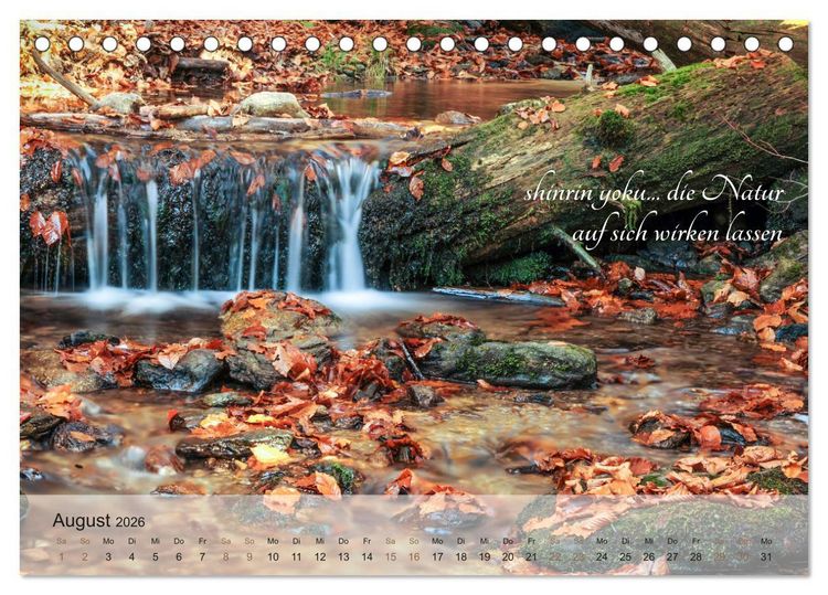 Produktbild: Shinrin yoku - Waldbaden 2026 (Tischkalender 2026 DIN A5 quer), CALVENDO Monatskalender