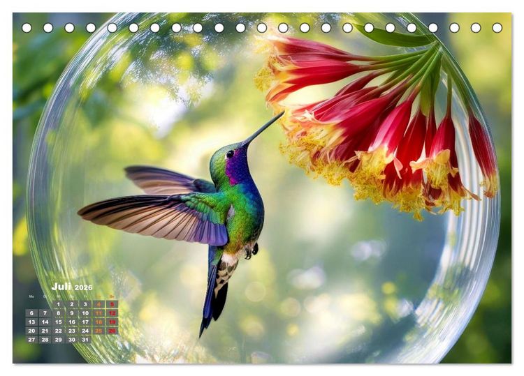 Produktbild: Kolibri in der Glaskugel (Tischkalender 2026 DIN A5 quer), CALVENDO Monatskalender