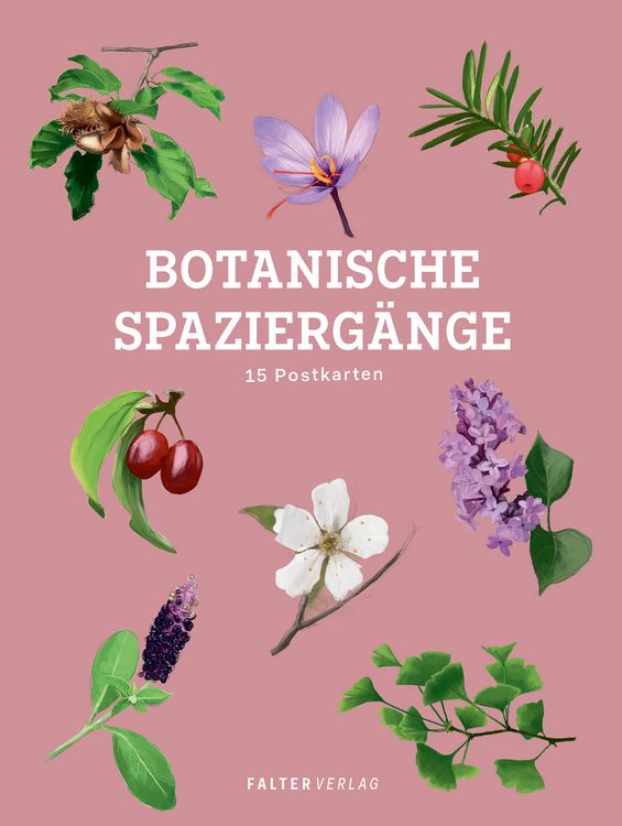 Produktbild: Botanische Spazierg&auml;nge - Postkartenbuch