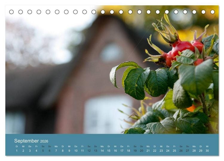 Produktbild: F&ouml;hr 2026. Portr&auml;t einer Insel (Tischkalender 2026 DIN A5 quer), CALVENDO Monatskalender