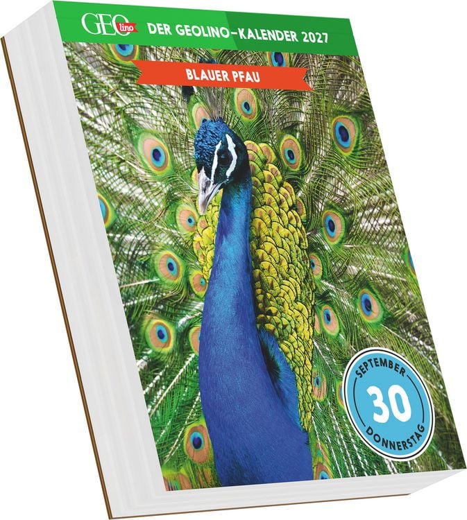 Produktbild: Der GEOlino-Kalender 2027