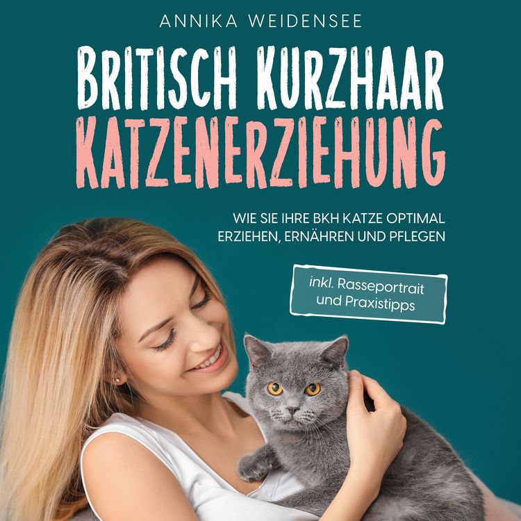Produktbild: Britisch Kurzhaar Katzenerziehung: Wie Sie Ihre BKH Katze optimal erziehen, ern&auml;hren und pflegen - inkl. Rasseportrait und Praxistipps