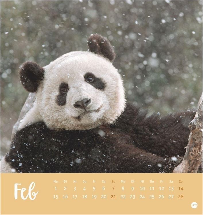 Produktbild: B&auml;renstark Postkartenkalender 2027