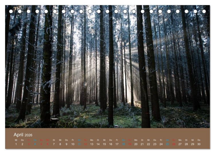 Produktbild: Fasziantion Natur (Tischkalender 2026 DIN A5 quer), CALVENDO Monatskalender