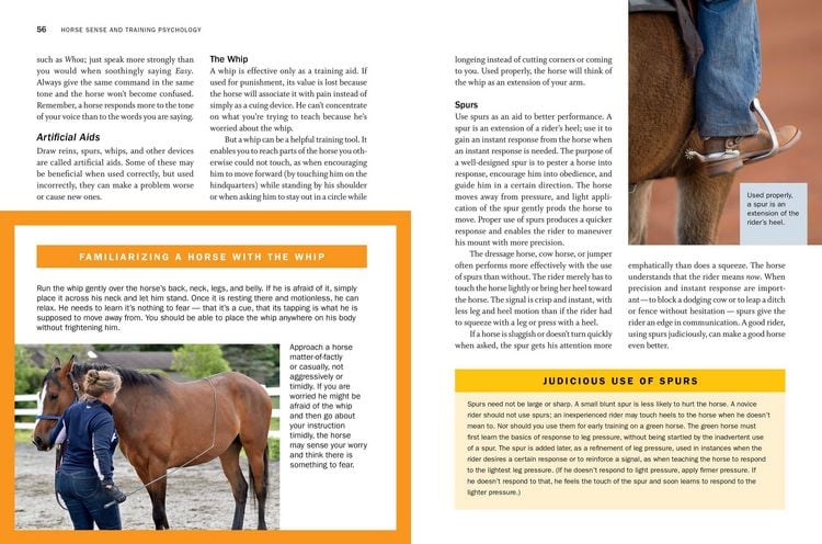 Produktbild: Storey's Guide to Training Horses, 3rd Edition