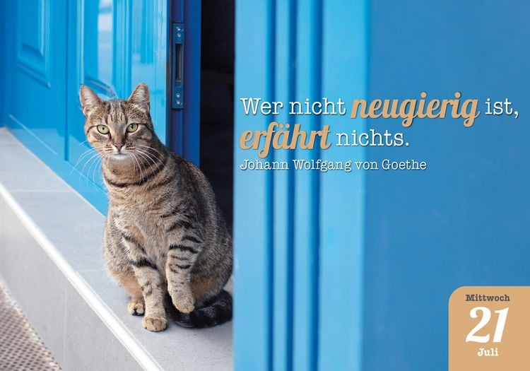 Produktbild: Katzenpoesie 2027