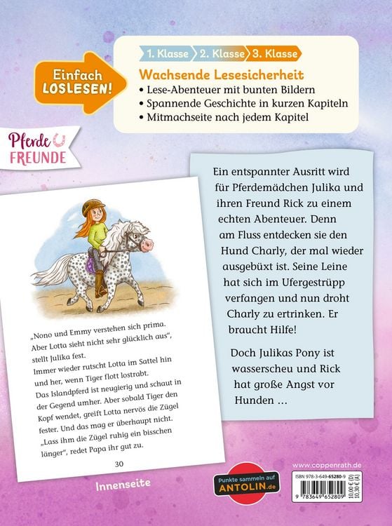 Produktbild: Ponyhof Brombeerwald (Erstlesebuch, Bd. 3)