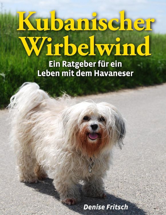Produktbild: Kubanischer Wirbelwind