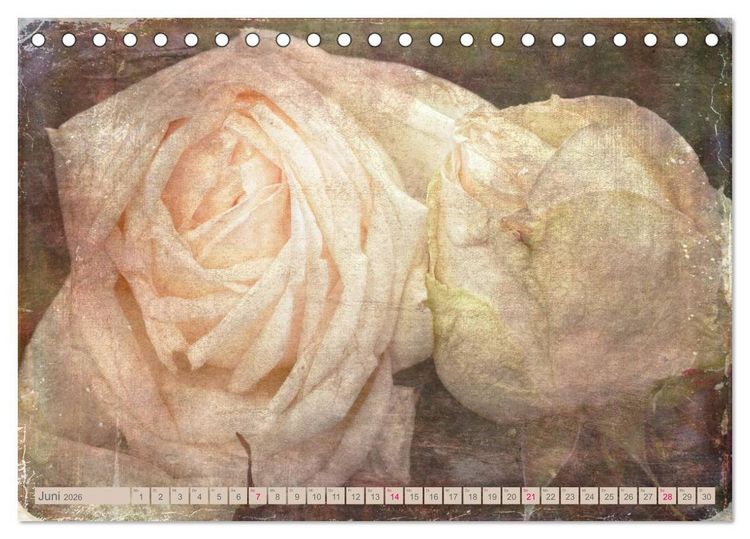 Produktbild: Rosenduft Shabby Chic Style (Tischkalender 2026 DIN A5 quer), CALVENDO Monatskalender