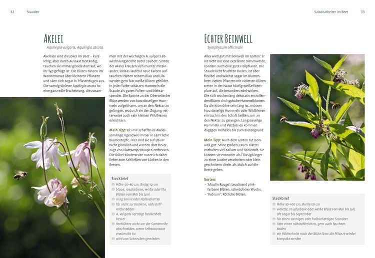 Produktbild: Heimische Pflanzen f&uuml;r den Garten