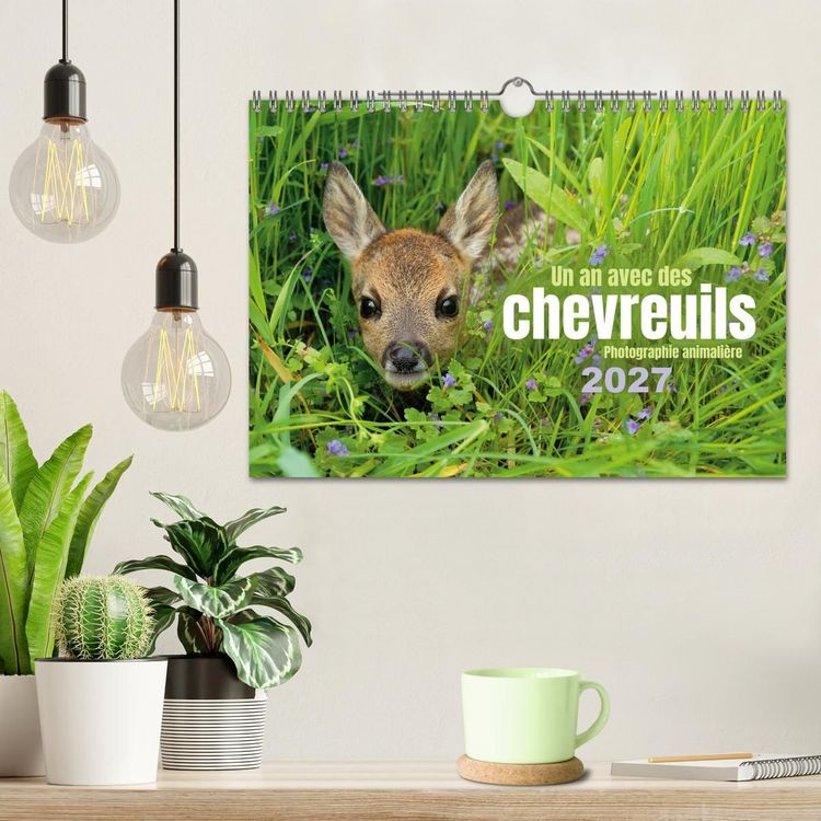 Produktbild: Un an avec des chevreuils (Calendrier mural 2027 DIN A4 vertical), CALVENDO calendrier mensuel