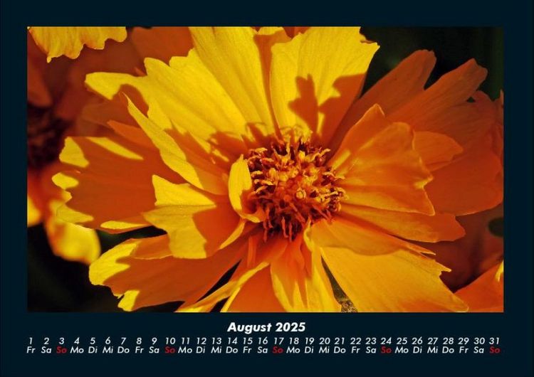 Produktbild: Blumenzauber 2025 Fotokalender DIN A4